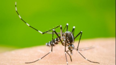 Salud reiteró recomendaciones para prevenir la transmisión del dengue