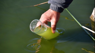 Alerta por cianobacterias en lagunas bonaerenses