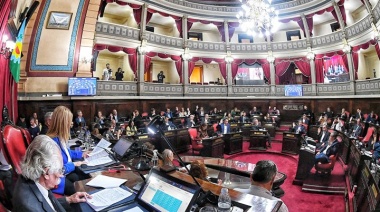 El Senado bonaerense prorrogó las emergencias para empresas recuperadas