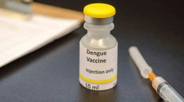 El Gobierno incorporará la vacuna del dengue de forma focalizada