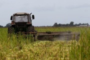 Provincia lanzó nuevas medidas para el sector agropecuario
