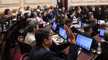 El Senado aprobó una declaración de repudio al ataque contra Cristina