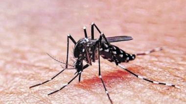 Más de 22.400 casos de dengue confirmados