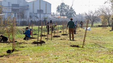 Plantaron 150 árboles nativos en Burzaco