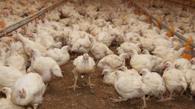 Influenza aviar: La Provincia articula acciones con municipios