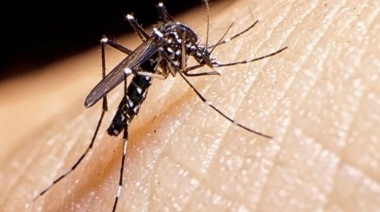 Dengue: ya son 24 los distritos bonaerenses afectados